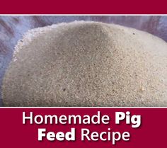 homemade pig feed recipe with text overlay that reads homemade pig feed recipe on it