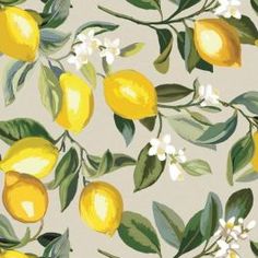 a painting of lemons and flowers on a light blue background with green leaves, white blooms