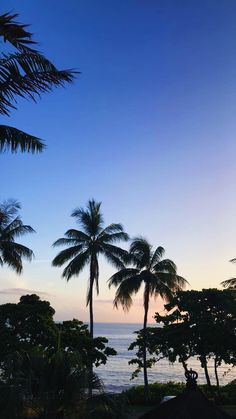 palm trees and the ocean at sunset in costa rica national park, costa rica region