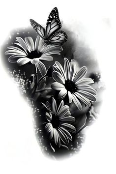 black and white photograph of three daisies with butterflies flying over the flowers in the foreground