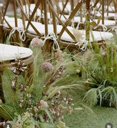 the chairs are lined up with flowers and plants