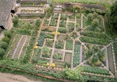 an aerial view of a vegetable garden with lots of green plants and trees in the background