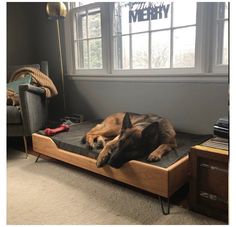 a dog laying on top of a bed in a living room next to a window