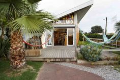 a store front with hammocks and palm trees