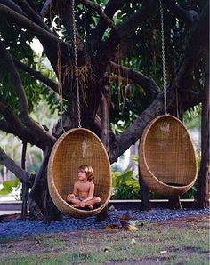 Hanging Chairs, Backyard Swings, Hanging Egg Chair, Tree Swing, Have Inspiration, Swinging Chair, Hanging Chair, My Dream Home, Garden Inspiration