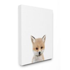 a little fox with big blue eyes on a white background canvas print wall art decor