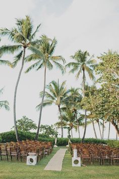 an outdoor ceremony setup with chairs and palm trees