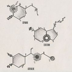 the diagram shows different types of flowers and their names in black ink on white paper