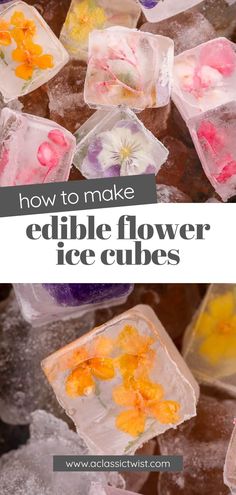 how to make edible flower ice cubes with flowers on them and text overlay