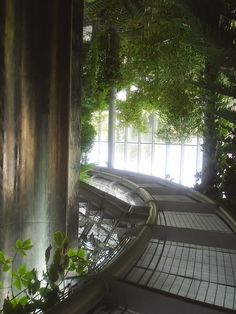 the walkway is lined with green plants and metal railings that lead up to an open window