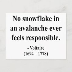 a sign that says no snowflake in an avalanche ever feels responsible voltaire