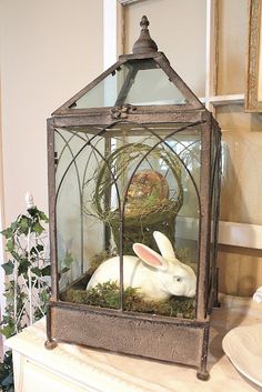 a white rabbit in a cage with moss and eggs inside it on a shelf next to a window