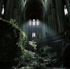 the inside of an old cathedral with sunlight streaming through windows and trees growing on the ground