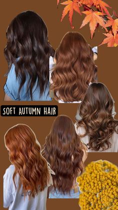 Autumn hair colour ideas Warm Brunette Hair Color, Caramel Hair Color Ideas, Warm Bronde, Caramel Hair Color, Ash Blonde Hair Balayage, Red Hair Halloween Costumes, Caramel Blonde Hair, Dark Fall Hair Colors, Dark Fall Hair