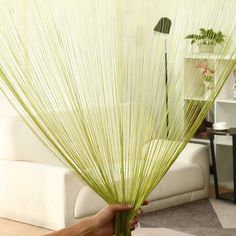 a person is holding some green plants in front of a white couch and coffee table