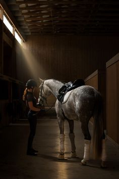 a woman standing next to a horse in a barn with sunlight coming through the windows