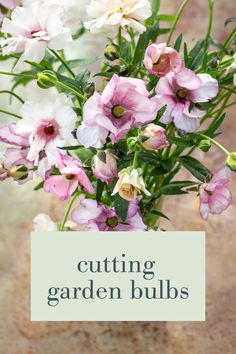 a vase filled with pink and white flowers sitting on top of a table next to a sign that says cutting garden bulbs