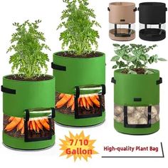 four green containers with carrots growing in them and the words high - quality plant bag