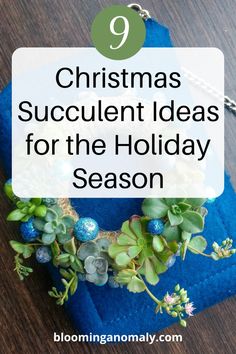 a christmas wreath with succulents on it and the text, 9 christmas gift ideas for the holiday season