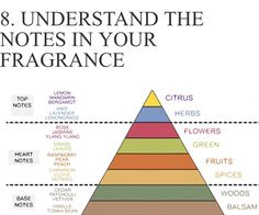 Perfume Infographic, Essential Oil Cologne, Essential Oil Perfume Blends, Essential Oil Perfumes Recipes, Diy Fragrance, Homemade Perfume, Fragrance Lab, Essential Oil Diffuser Blends Recipes