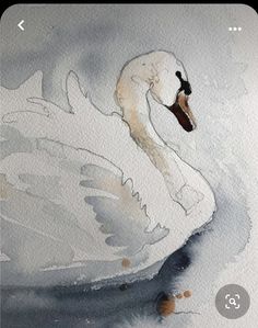 a watercolor painting of a white swan