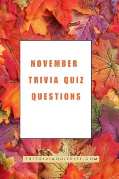 the words november trivia quiz questions surrounded by autumn leaves on a white square frame