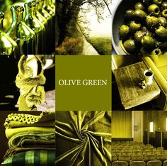 an image of olive green color scheme