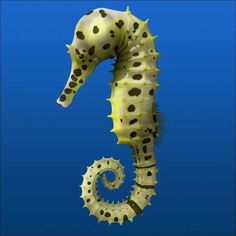 a sea horse is standing upright in the air with its head turned to look like it's tail