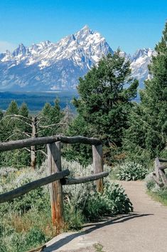 Beautiful Montana Mountain view Jenny Lake, Wyoming Vacation, Wyoming Travel, National Park Vacation, National Parks Trip, Glacier National, Scenic Drive, Glacier National Park