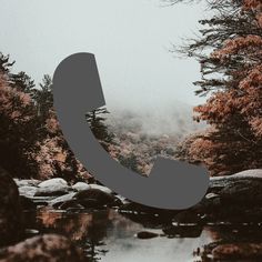 an image of a phone in the middle of some water and trees with fog around it