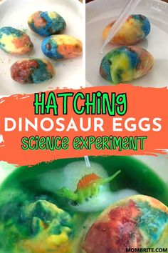 the science experiment is fun for kids to do with dinosaurs and other things that are colorful