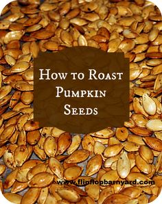 how to roast pumpkin seeds in the oven