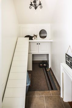 there is a cat laying on the floor in the hallway next to the closet door