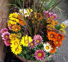 a pot filled with lots of different colored flowers