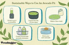 an illustrated poster describing how to use avocado pit for skin care and hygiene