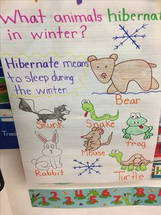 a bulletin board with animals in winter written on it and writing underneath the sign that says, what animals hibernate means to sleep during the winter