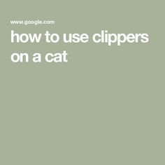 the words how to use clippers on a cat are in front of a green background