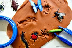 some bugs and other insects are on a piece of clay next to a pair of scissors