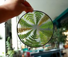 a hand holding a glass plate with green leaves on it