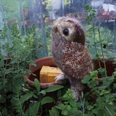 a stuffed owl sitting in a potted planter filled with green plants and flowers