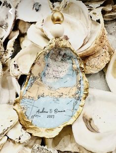 an old map is surrounded by seashells