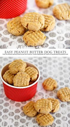 peanut butter dog treats in a red bowl