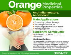 The sweet orange is one of the most popular fruits in the world. This citrus provides much more than just vitamin C and has a variety of medicinal applications. Discover all the benefits of orange, its history and ways of consumption. Orange Health Benefits, Benefits Of Oranges, Fruits Benefits, Oranges Benefits, Food Reference, Fruit Health