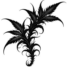 Dark Leaves Tattoo, Leaves Tattoo Design, Dragon Tattoo Sketch, Leaves Tattoo, Dark Leaves, Leaf Tattoo, Body Accessories, Tattoo Sketch, Tattoos Ideas