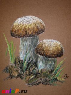 a drawing of two mushrooms in the grass