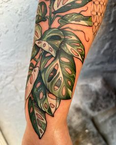 a close up of a person's arm with a plant on it