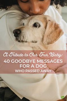 A Tribute to Our Fur Baby: 40 Goodbye Messages for a Dog Who Passed Away | Birthday Wishes Expert Dog Quotes Saying Goodbye, Good Bye Dog Quotes, Rip Pet Quotes Dogs, Poems For Dogs That Passed, Rest In Peace For Dogs, Quotes For Passed Dogs, Quotes For A Dog That Passed, Goodbye To Dog Quotes, Goodbye To Pets Dogs