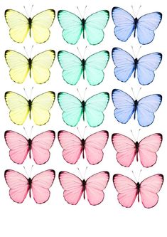 many different colored butterflies on a white background