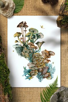 an illustration of mushrooms and other plants on paper