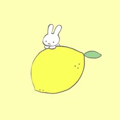 a drawing of a bunny sitting on top of a lemon